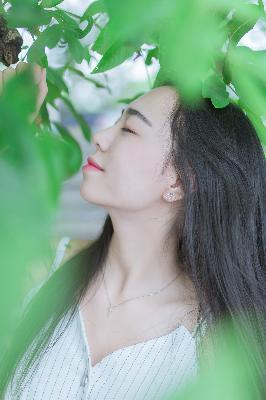 番茄视频追剧